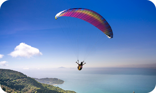 fly image